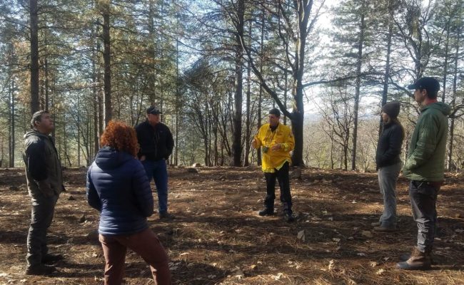 Alliance Announces New Sierra Corps Forestry Fellowship Program
