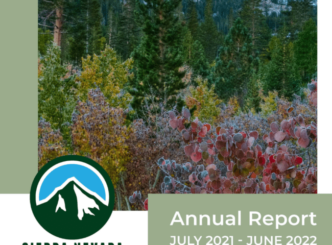 annual impact report