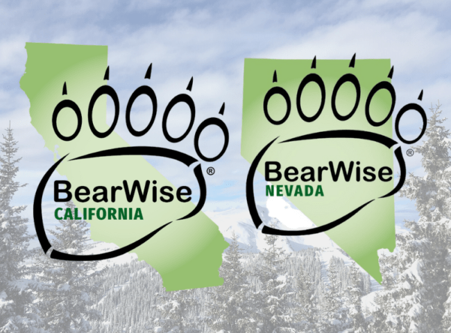 bear wise nevada california