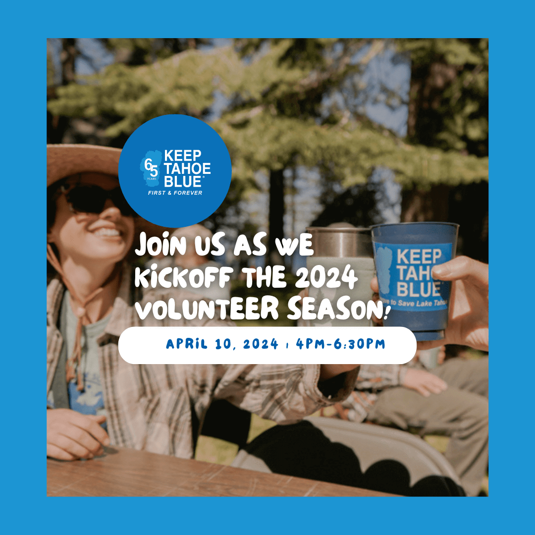 Lake Tahoe Blue Business Program focuses on preservation | SierraSun.com, image size:1080x1080